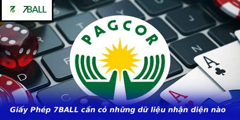 Giấy Phép 7BALL cần có những dữ liệu nhận diện nào